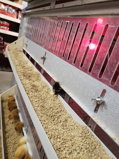 Farm Equipment Supplier «Columbia Farm Supply», reviews and photos, 170 Bear Creek Pike, Columbia, TN 38401, USA