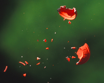 Shooting Event Area «Etowah Valley Sporting Clays Park», reviews and photos, 619 Sporting Hill Dr, Dawsonville, GA 30534, USA