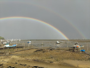 Photo n°35 de La Dégust' du Grand Coin - Dégustation d'Huîtres à Lège-Cap-Ferret ()