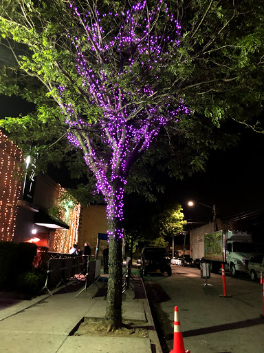 Night Club «Mazi Nightclub», reviews and photos, 130-35 91st Ave, Richmond Hill, NY 11418, USA