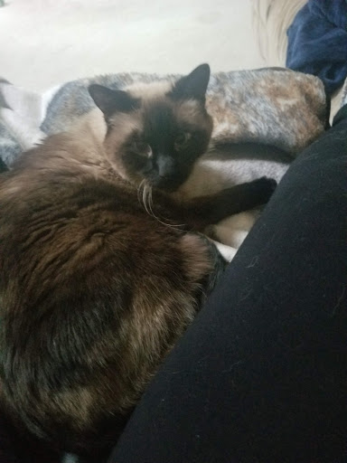 3519 Hwy F, Defiance, MO 63341, USA