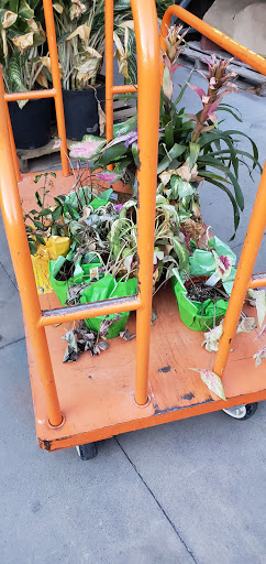 Home Improvement Store «The Home Depot», reviews and photos, 6280 Hembree Ln, Windsor, CA 95492, USA