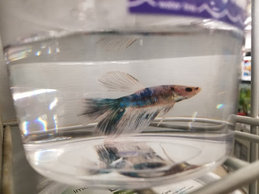 Pet Supply Store «Petco Animal Supplies», reviews and photos, 217 Oak Lee Dr #16, Ranson, WV 25438, USA