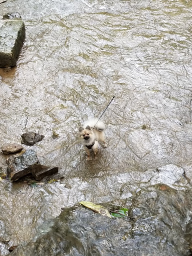 Park «Harrods Creek Park», reviews and photos, 6530 Montero Dr, Prospect, KY 40059, USA