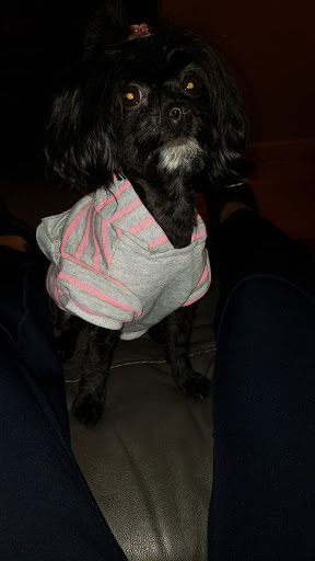 Pet Supply Store «Petco Animal Supplies», reviews and photos, 4950 S 76th St, Greenfield, WI 53220, USA