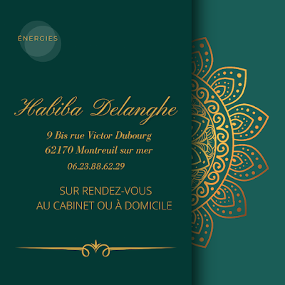 Habiba Delanghe Énergéticienne-Massothérapeute - Formatrice à Montreuil-sur-Mer