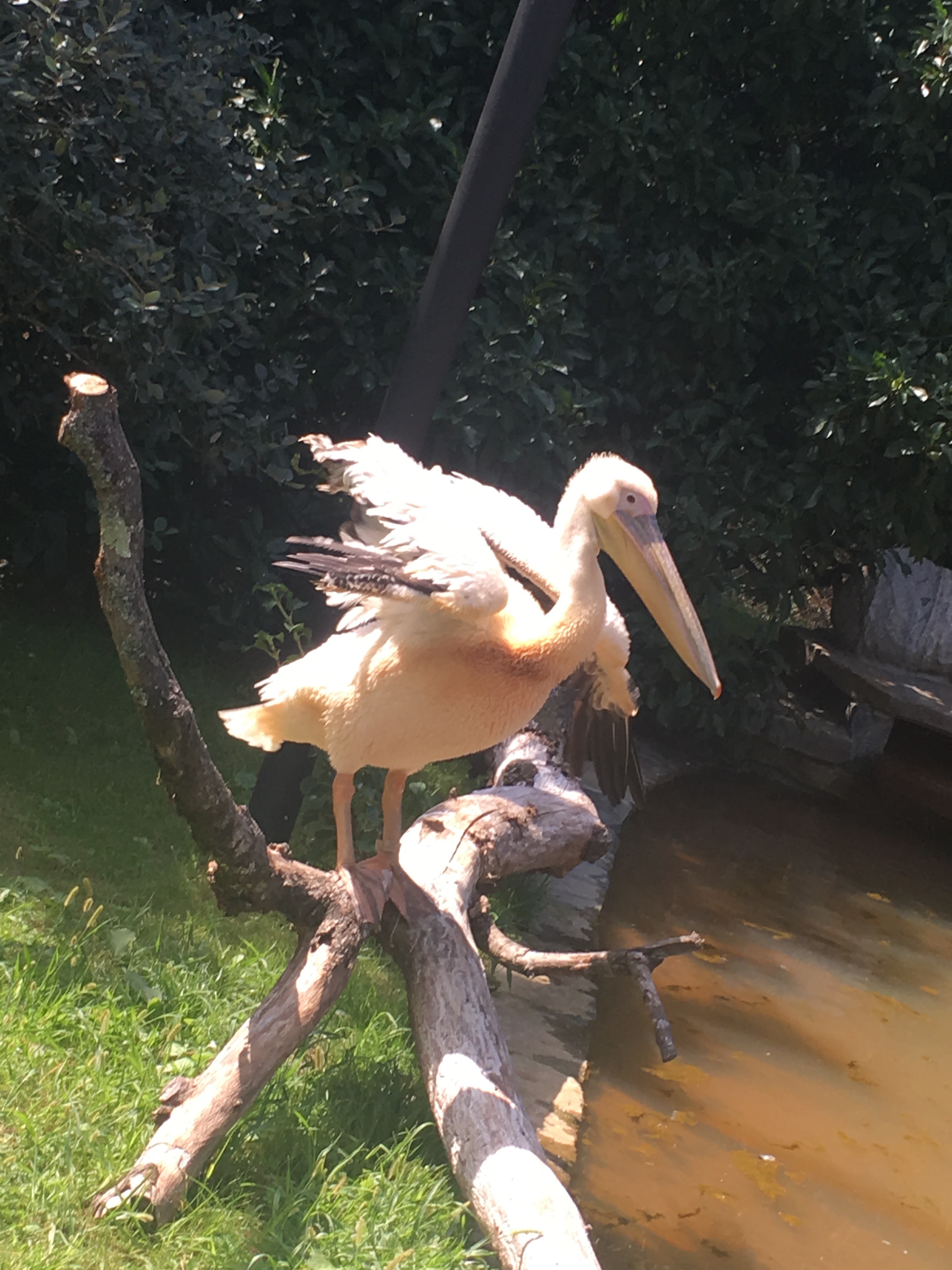 Photo n° 46 de l'avis de Coco.p fait le 24/08/2017 à 14:18