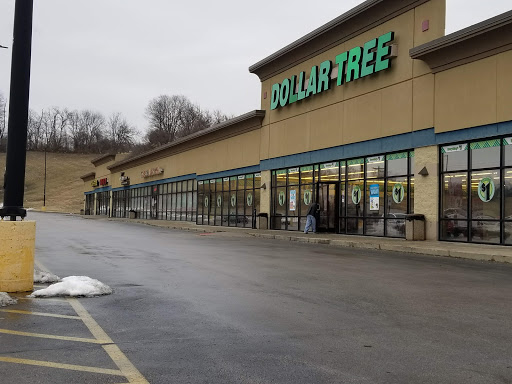 Dollar Store «Dollar Tree», reviews and photos, 603 Wesley Dr, Wood River, IL 62095, USA