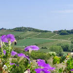 Photo n°1 de l'avis de luca.i fait le 06/08/2022 à 11:53 sur le  365 Cella Monte à Cella Monte