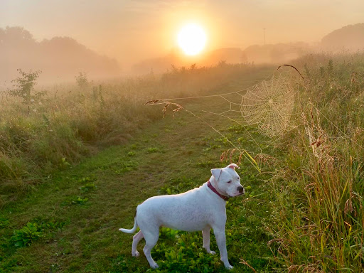 Nature Preserve «Lakewood Forest Preserve», reviews and photos, 27277 N Forest Preserve Rd, Wauconda, IL 60084, USA