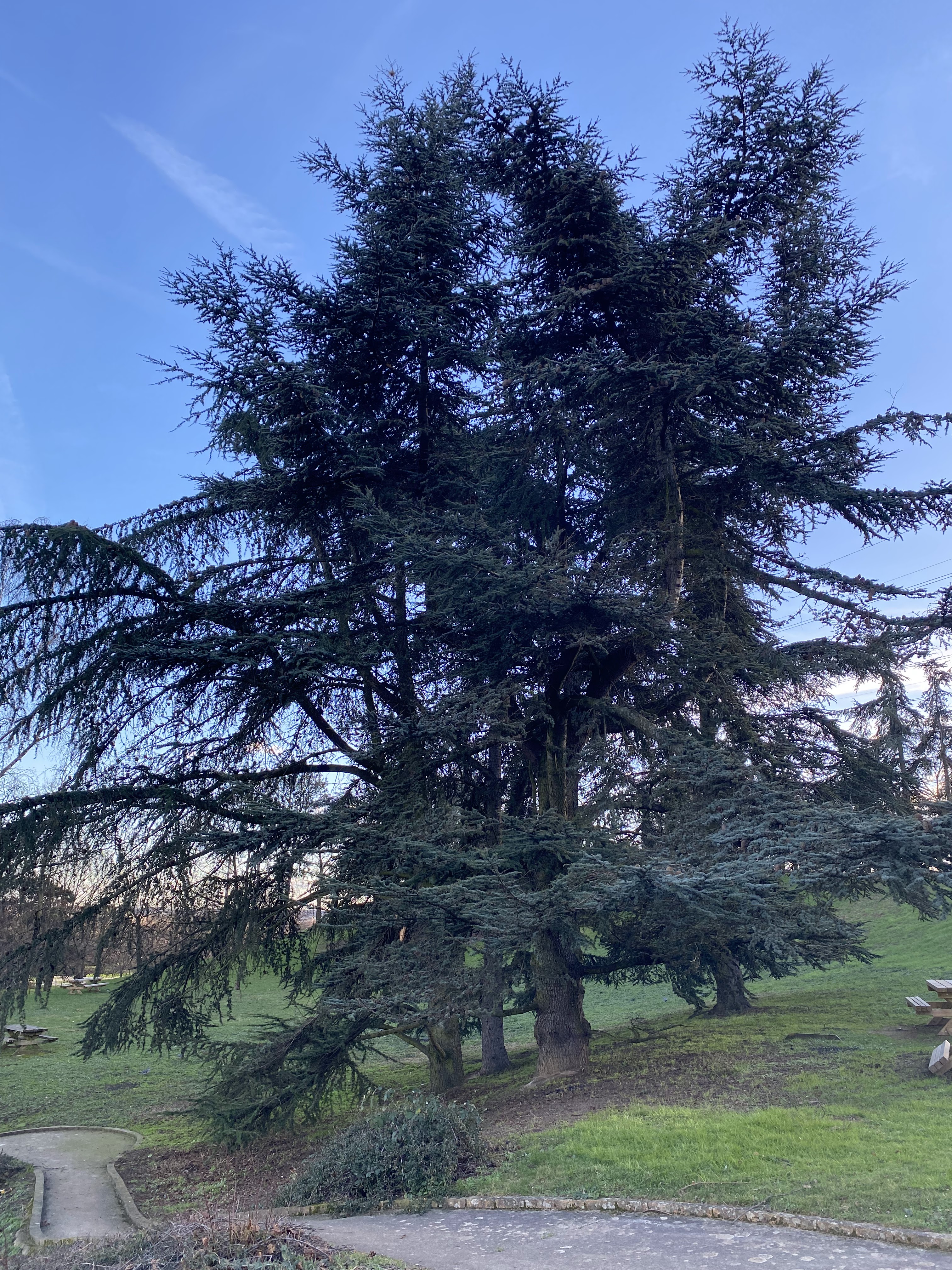 Photo n° 31 de l'avis de jérémie-louis.D fait le 16/01/2024 à 00:35