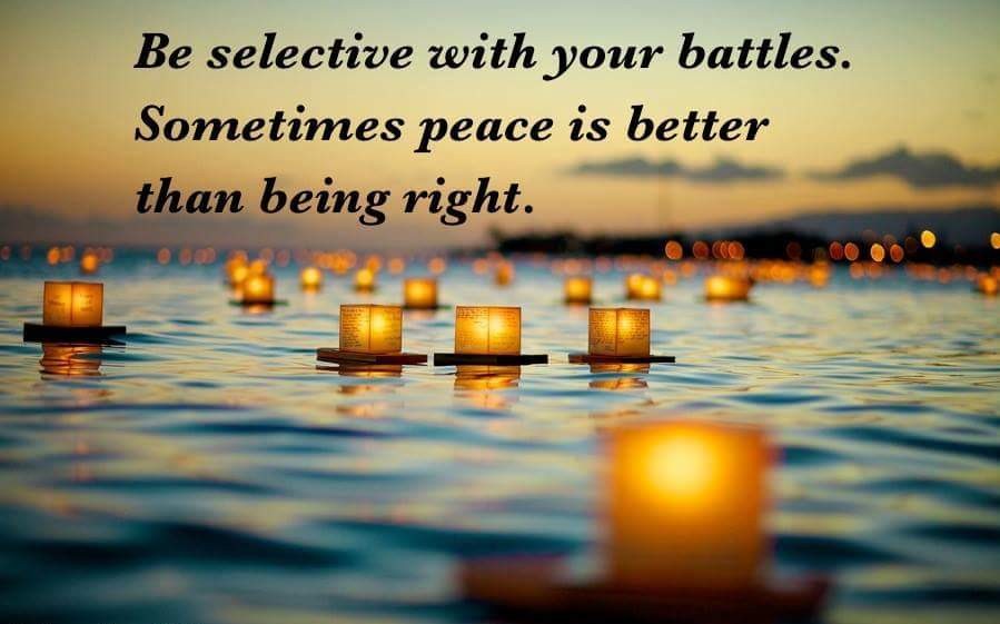 Touch of Well Being 80634