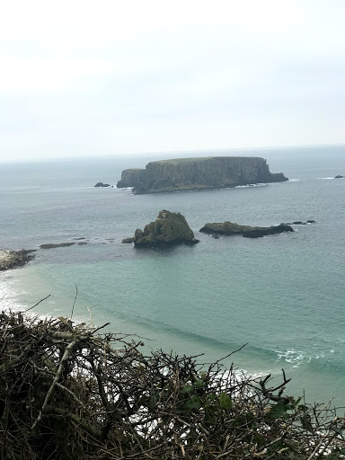 Aquarium «Toledo Zoo Aquarium», reviews and photos, 2700 Broadway St, Toledo, OH 43609, USA