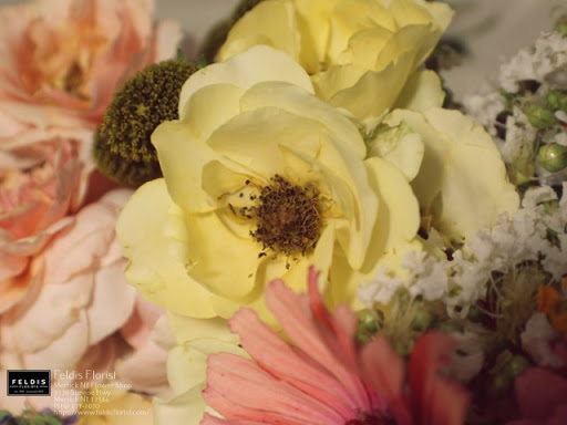 Florist «Feldis Florists Inc», reviews and photos, 2170 Sunrise Hwy, Merrick, NY 11566, USA