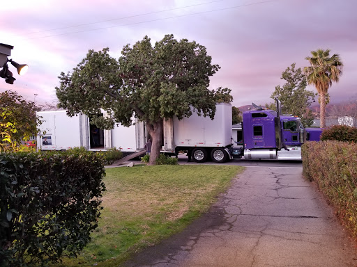 Moving Pro inc image