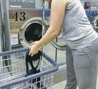 Rainbow 2 Laundry 24/7 Wash - Photo 7 - Car repair in Brooklyn, NY, New York