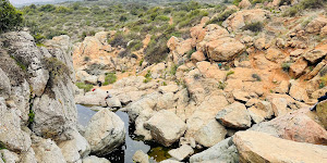 Los Peñasquitos Canyon Preserve