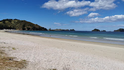 Matauri Bay Beach'in fotoğrafı çok temiz temizlik seviyesi ile
