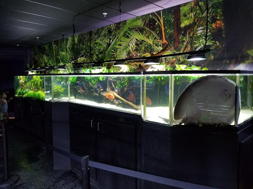 Tropical Fish Store «Aquarium Adventure Superstore», reviews and photos, 3649 Fishinger Blvd, Hilliard, OH 43026, USA