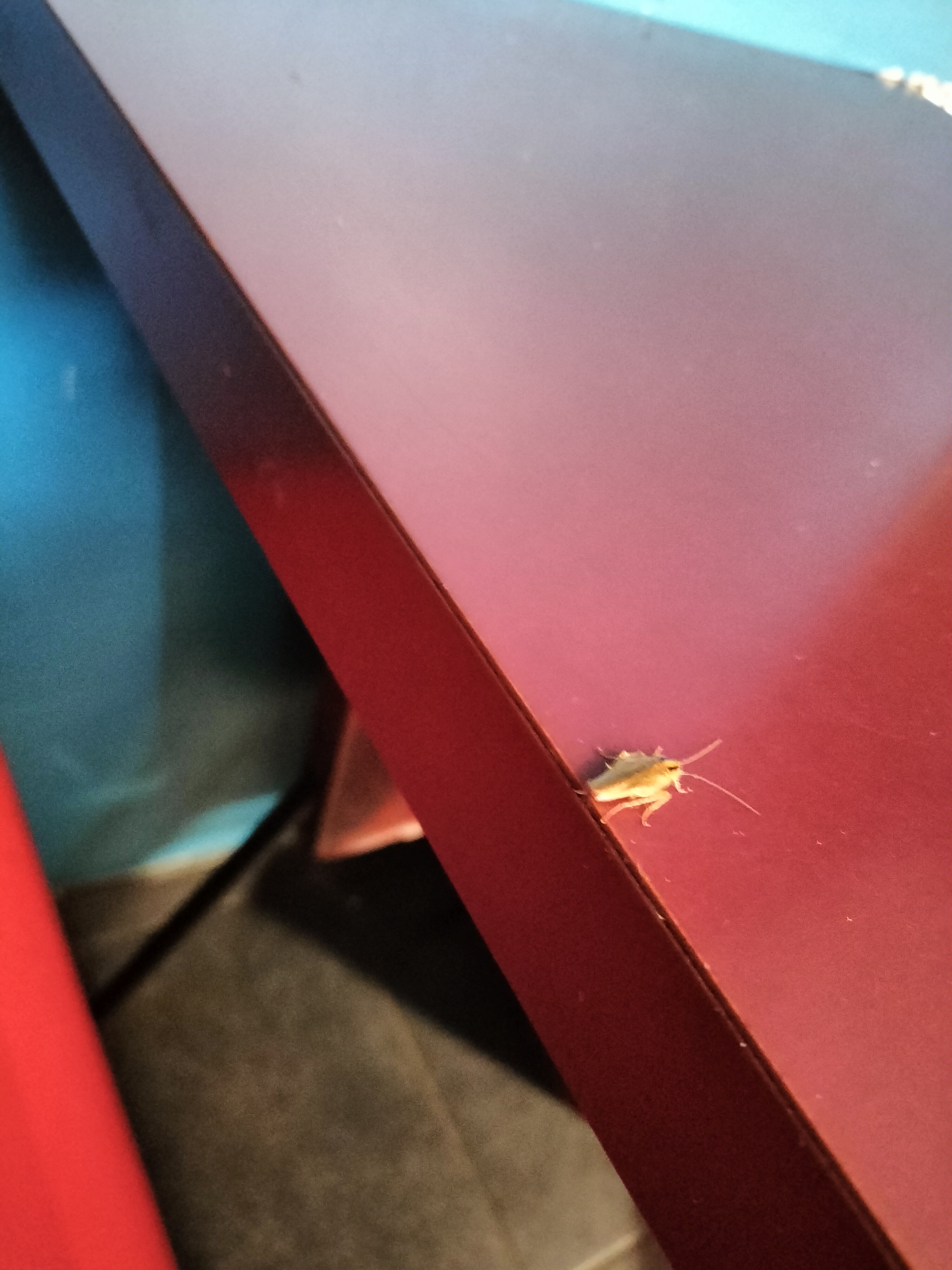 Photo n° 1 de l'avis de Ewan.o fait le 10/12/2022 à 11:55