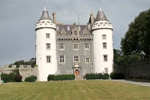 Killyleagh Castle Towers image