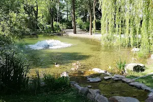 Teich im Süd-West-Park Eschborn image