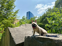 Good Shepherd Training - Photo 3 - Car repair in , Indianapolis