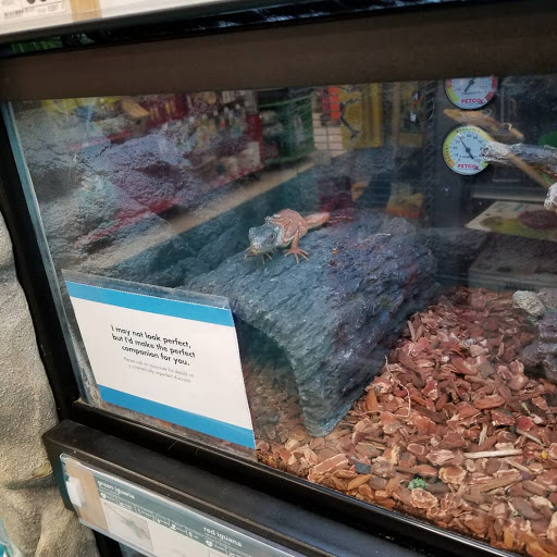 Pet Supply Store «Petco Animal Supplies», reviews and photos, 9078 SE Sunnyside Rd, Clackamas, OR 97015, USA