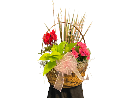 Florist «Chenoweth Floral & Greenhouses», reviews and photos, 563 Old Hwy 8 SW, St Paul, MN 55112, USA