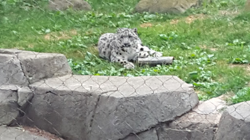 Zoo «Fragile Desert», reviews and photos, 3300 Golf Rd, Brookfield, IL 60513, USA