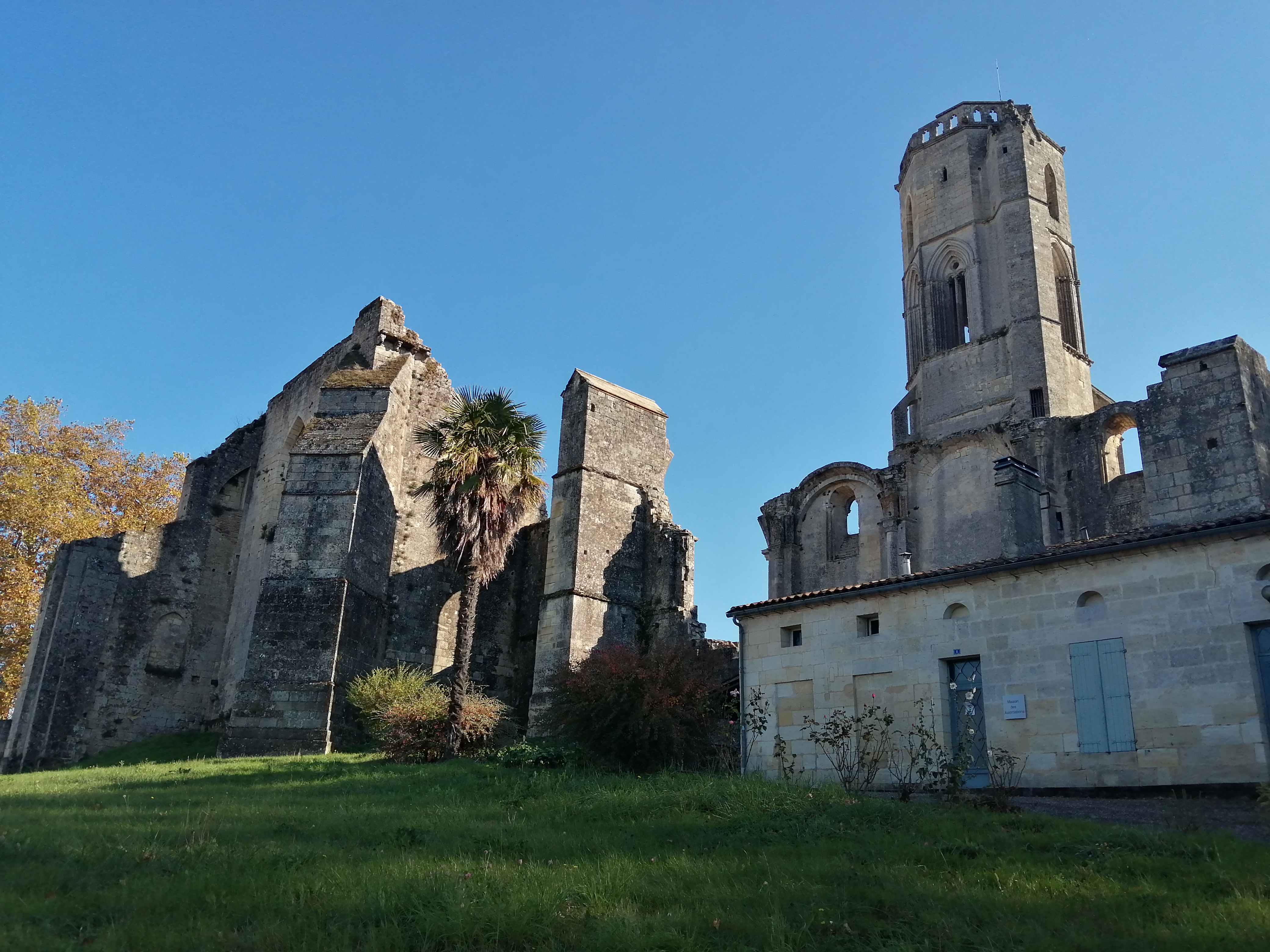 Photo n° 1 de l'avis de Perrine. fait le 30/10/2021 à 17:28