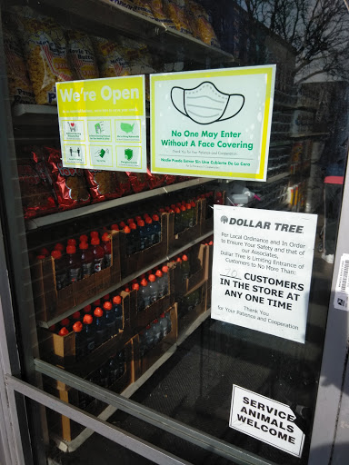 Dollar Store «Dollar Tree», reviews and photos, 39 N Lansdowne Ave #45, Lansdowne, PA 19050, USA