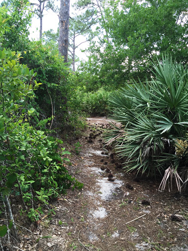 Community Center «Max K. Rodes Community Center», reviews and photos, 3410 Flanagan Ave, West Melbourne, FL 32904, USA