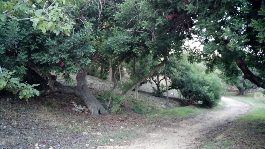 Club de fútbol Base Pallaresos