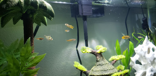 Pet Supply Store «Pet Loft», reviews and photos, 6333 SW Macadam Ave #104, Portland, OR 97239, USA