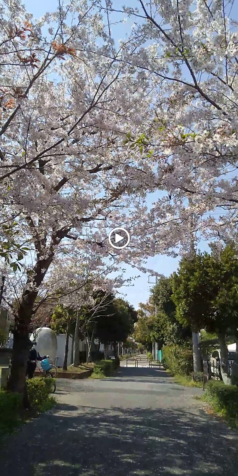 香澄4号児童公園 (おやま公園)