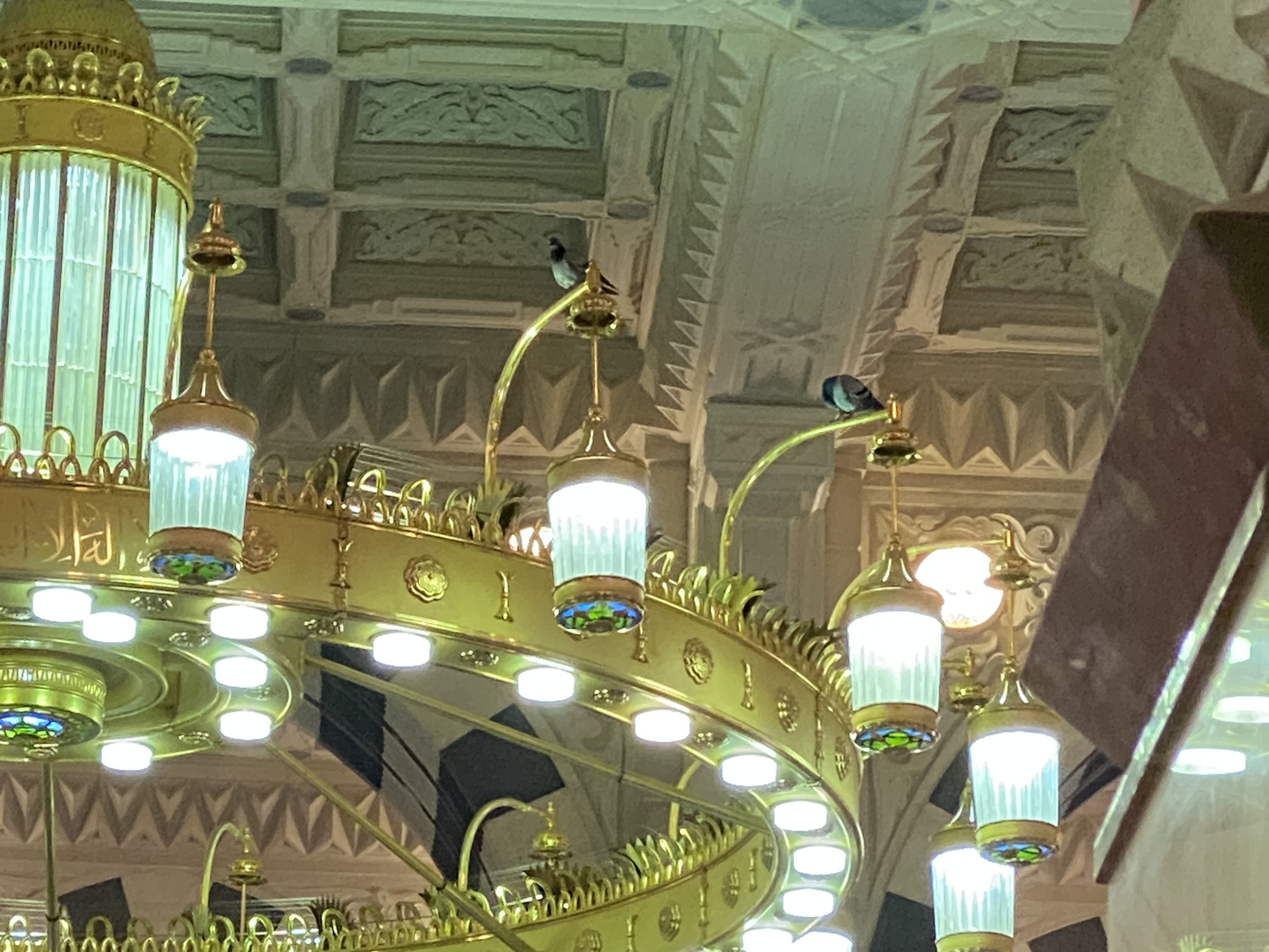 Photo n° 18 de l'avis de F. fait le 16/01/2023 à 16:08