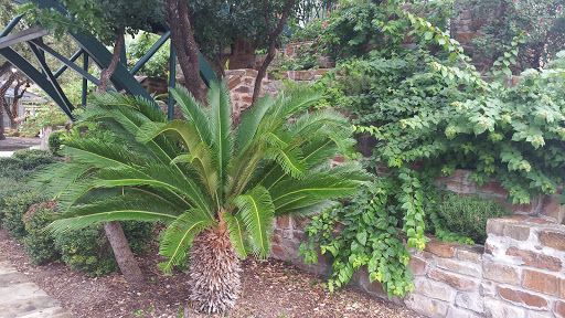 Park «Hemisfair Park», reviews and photos, 434 S Alamo St, San Antonio, TX 78205, USA