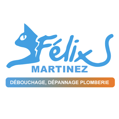 FÉLIX Martinez NOLOU RENO à Belin-Béliet