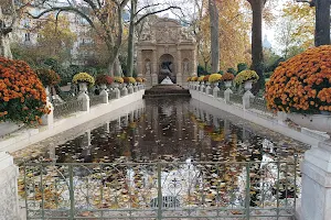 Medici Fountain image