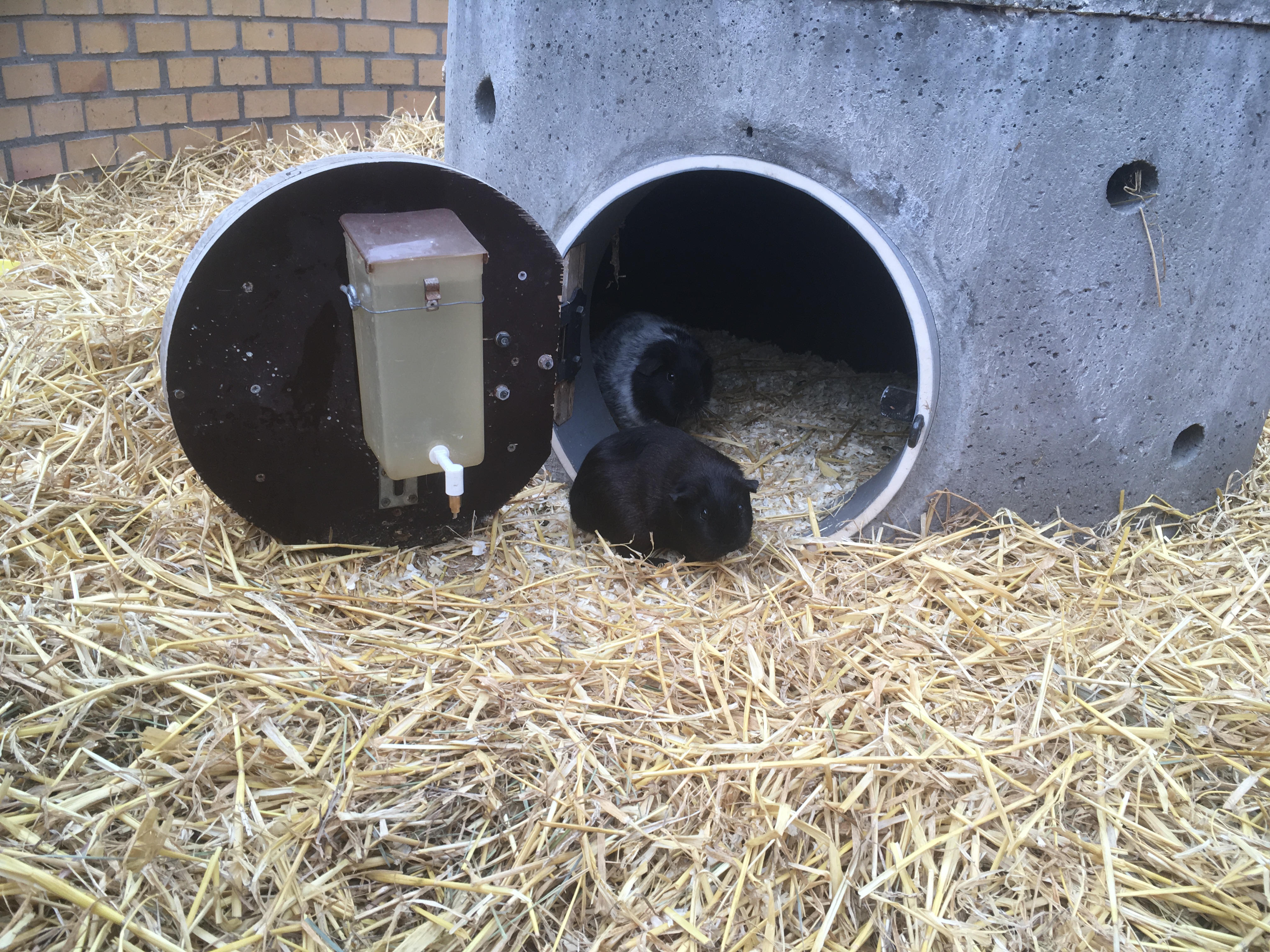 Photo n° 1 de l'avis de Sandra.i fait le 30/10/2018 à 11:43
