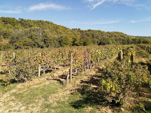 Domaine de Marie à Ménerbes