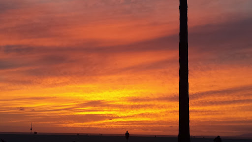 Coffee Shop «Groundwork Coffee Co.», reviews and photos, 3 Westminster Ave, Venice, CA 90291, USA