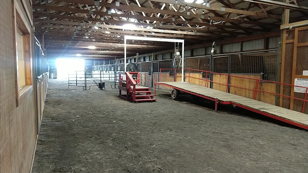 New Beginnings Therapeutic Riding Inc.