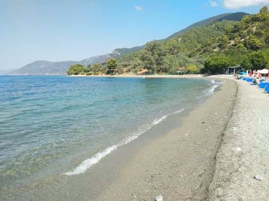 Sungate beach