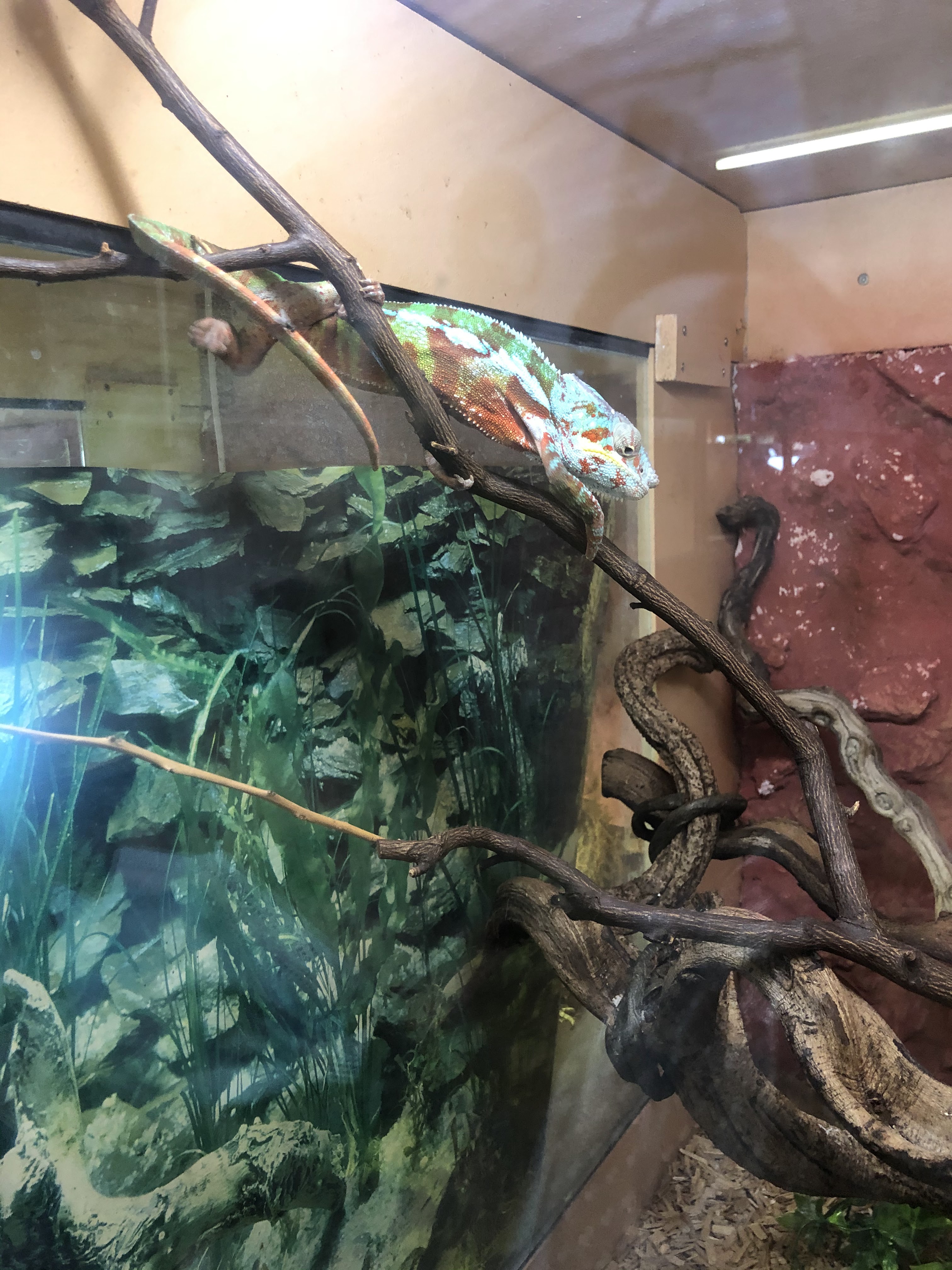 Photo n° 1 de l'avis de Magali.v fait le 05/08/2021 à 07:20