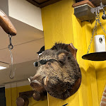 Photo n°30 de l'avis de Lua.a fait le 26/03/2023 à 05:52 sur le  Ristorante La Cavallina à Barberino di Mugello