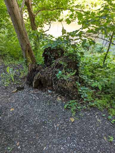 Nature Preserve «Lake Roland Nature Council», reviews and photos, 1000 Lakeside Dr, Baltimore, MD 21210, USA