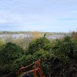 Scenic Overlook