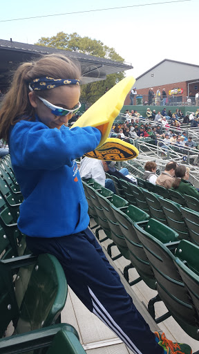 Stadium «Russ Chandler Stadium», reviews and photos, 255 5th St NE, Atlanta, GA 30308, USA